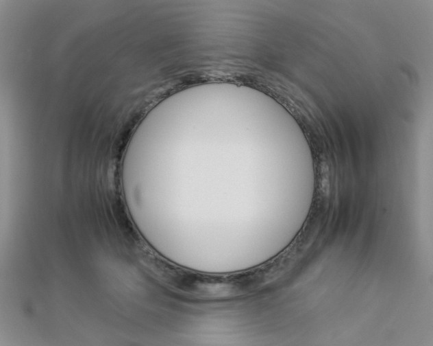 X0000112870514200908211033