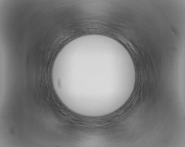 X0000112870517200908211033