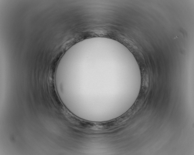 X0000112870518200908211033