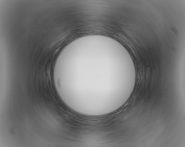 X0000112870520200908211032