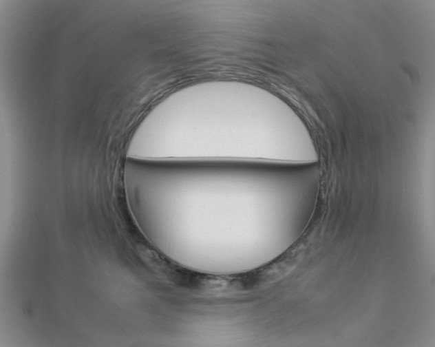 X0000112870521200908211032