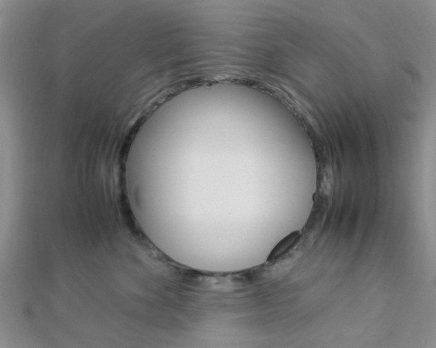 X0000112870524200908211032