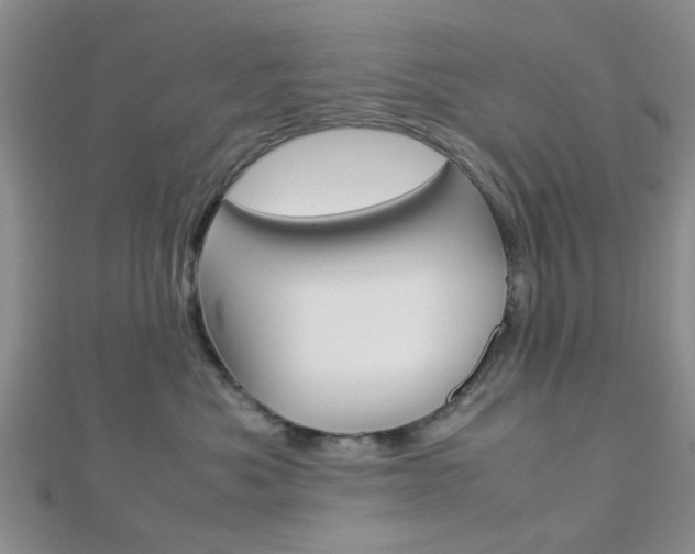 X0000112870525200908211032
