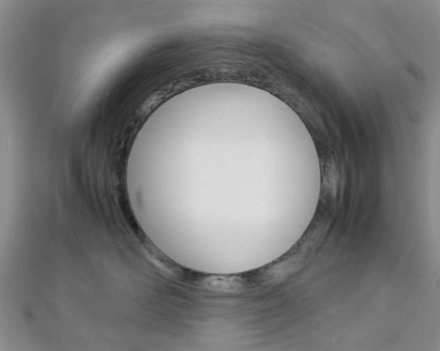X0000112870526200908211032