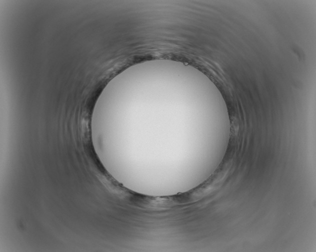X0000112870527200908211032