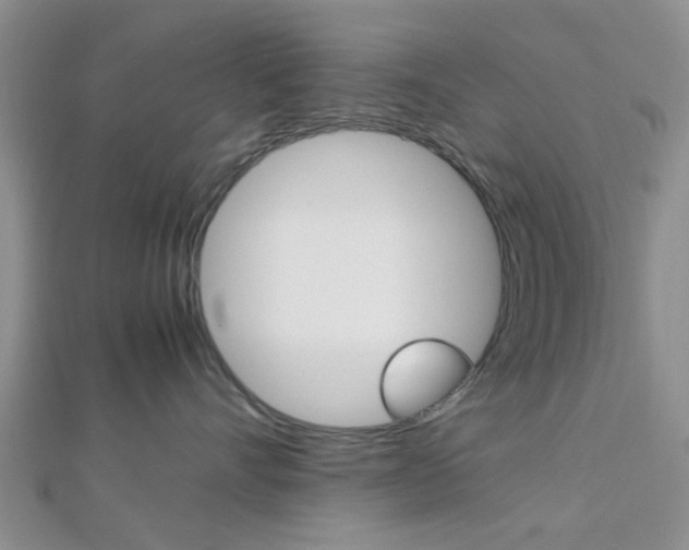 X0000112870528200908211032