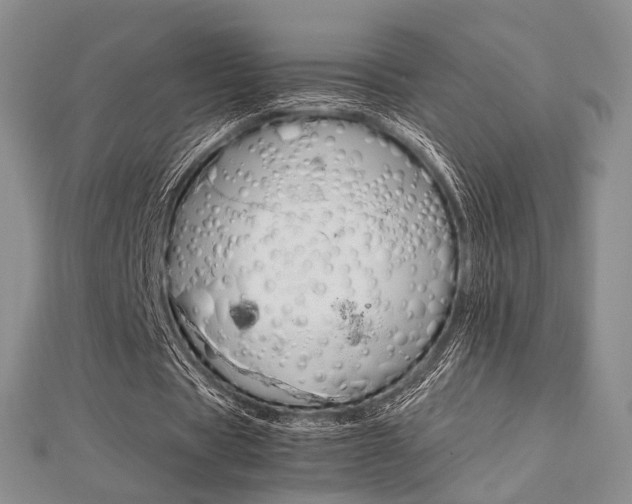 X0000112870529200908211032