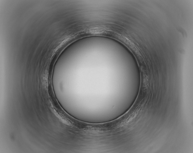 X0000112870530200908211032