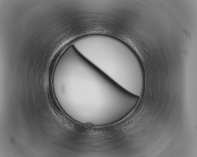 X0000112870531200908211032