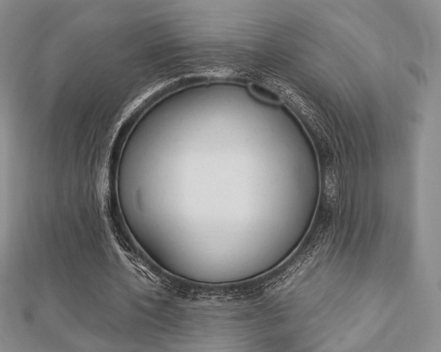 X0000112870532200908211032