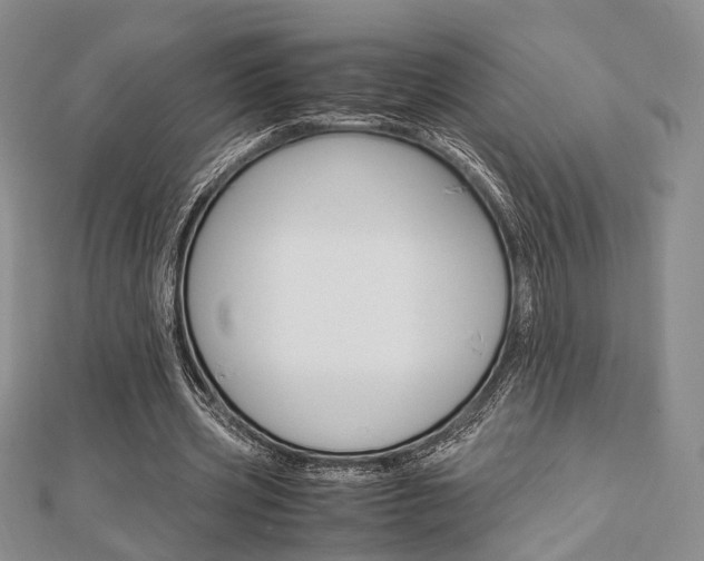 X0000112870533200908211032
