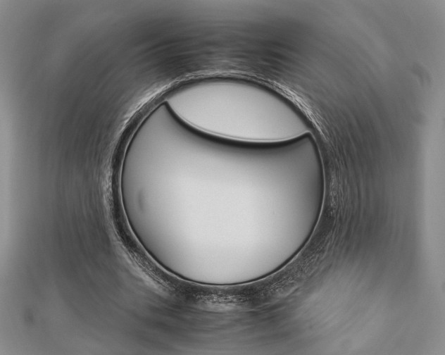 X0000112870535200908211032