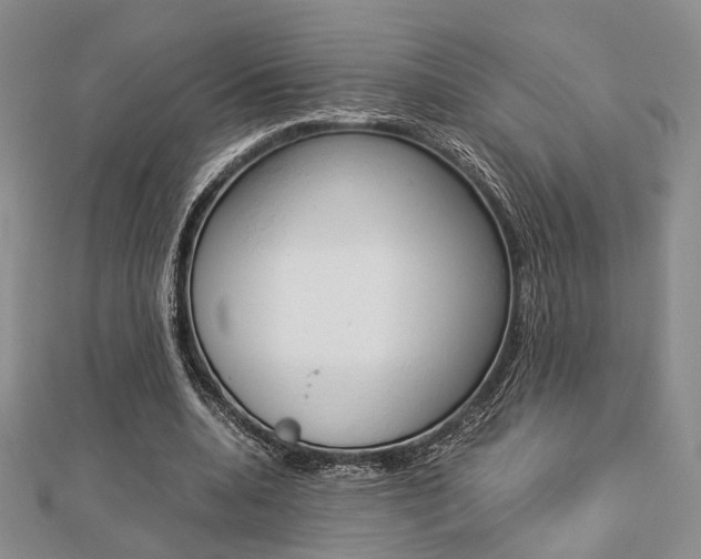 X0000112870536200908211032