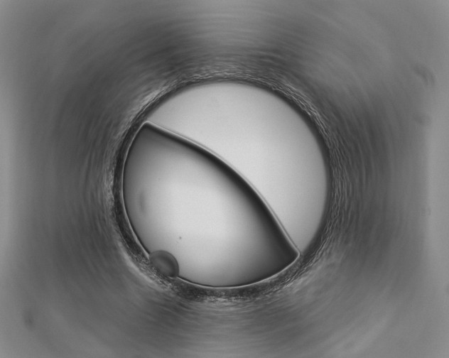 X0000112870538200908211032