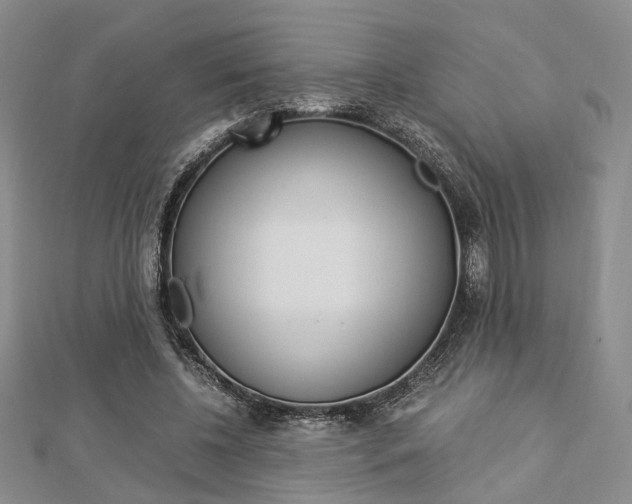 X0000112870540200908211032
