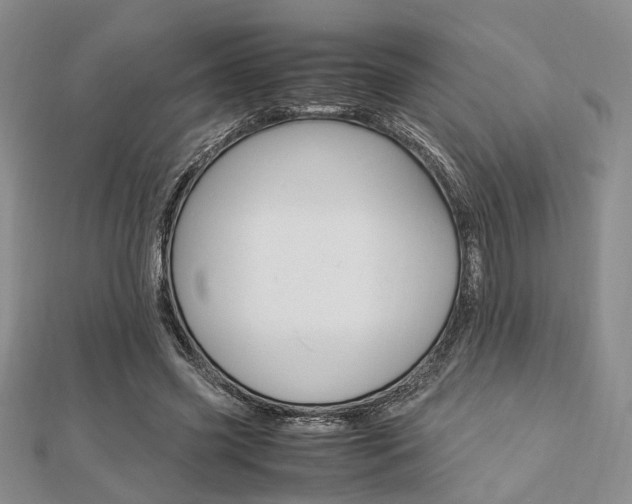 X0000112870541200908211032