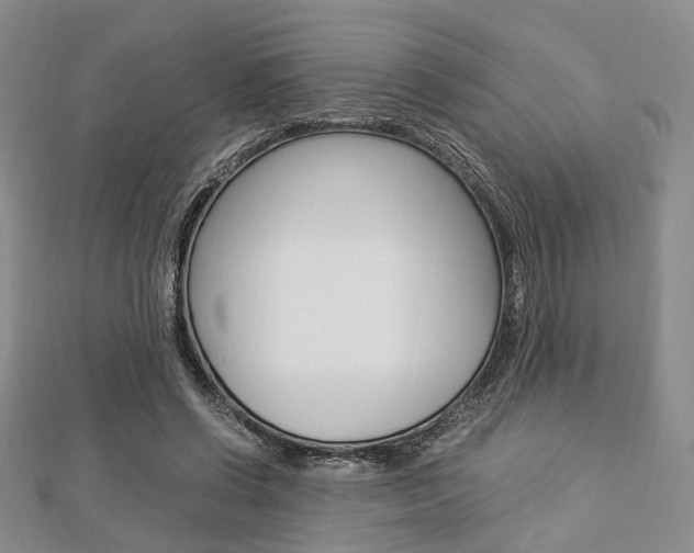 X0000112870542200908211032