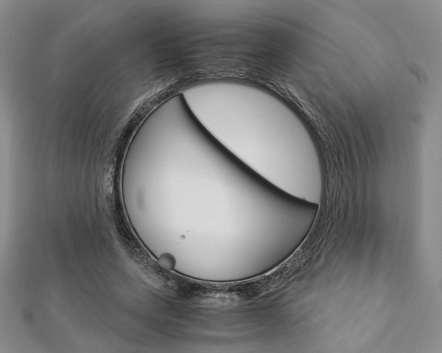 X0000112870543200908211032