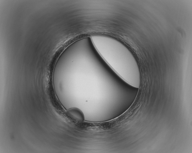 X0000112870544200908211032