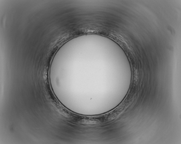 X0000112870545200908211032