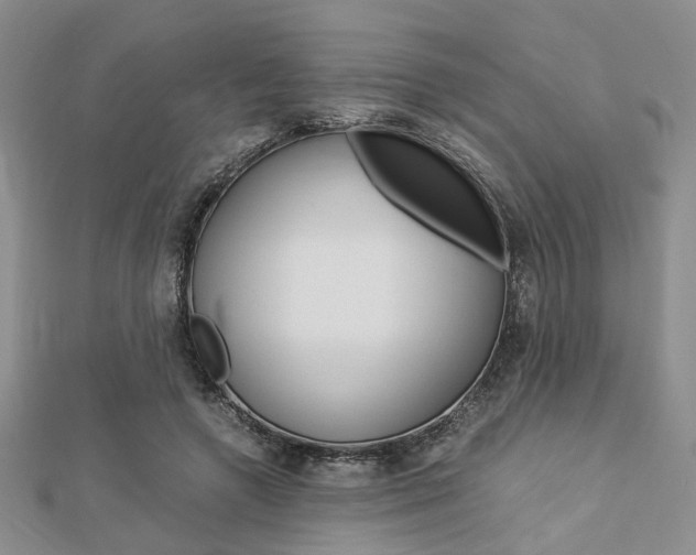 X0000112870546200908211032