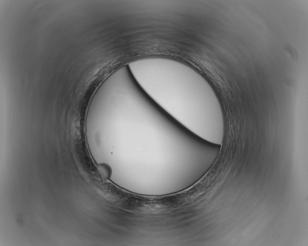 X0000112870547200908211032