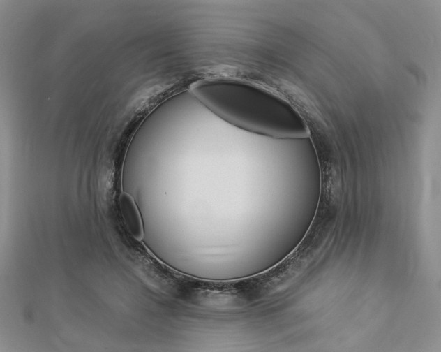 X0000112870548200908211032