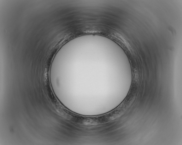 X0000112870549200908211032