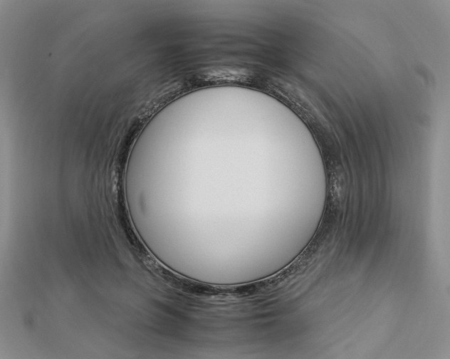 X0000112870551200908211032