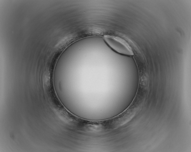 X0000112870552200908211032