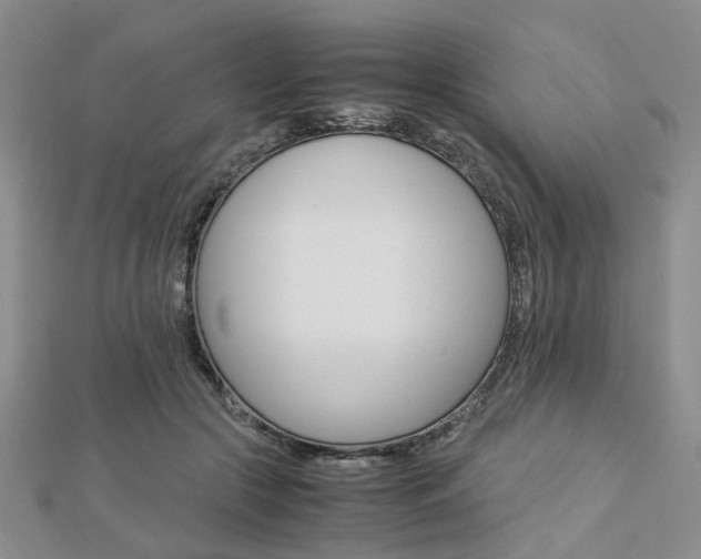 X0000112870553200908211032