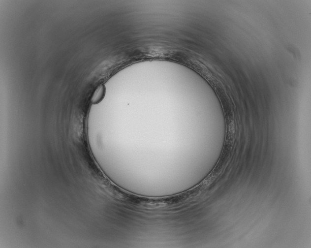 X0000112870554200908211032