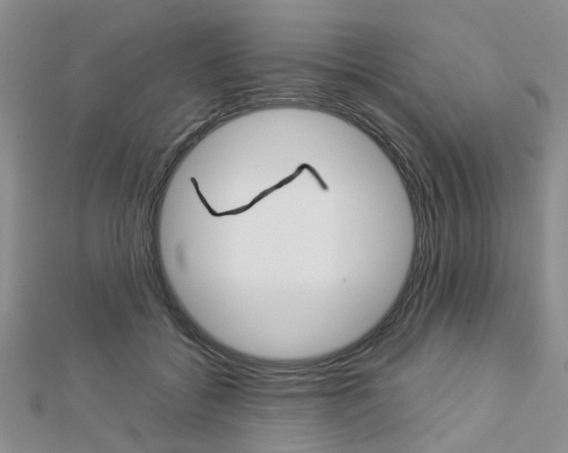 X0000112870556200908211032