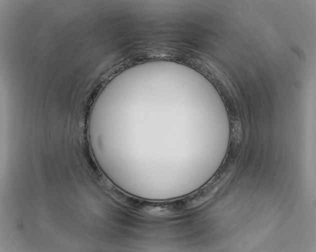 X0000112870557200908211032
