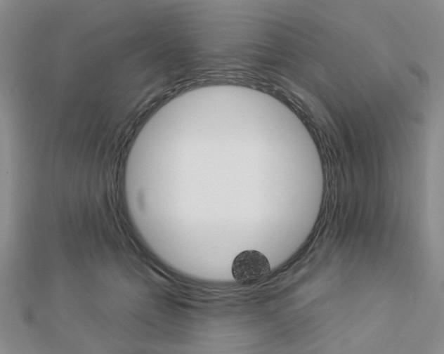 X0000112870558200908211032