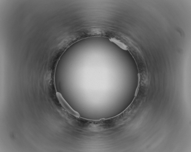 X0000112870560200908211032