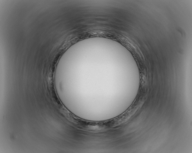 X0000112870561200908211032