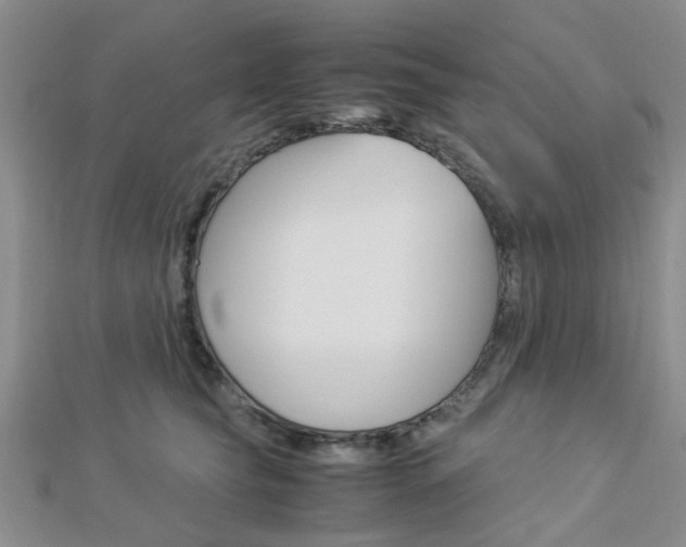 X0000112870565200908211032