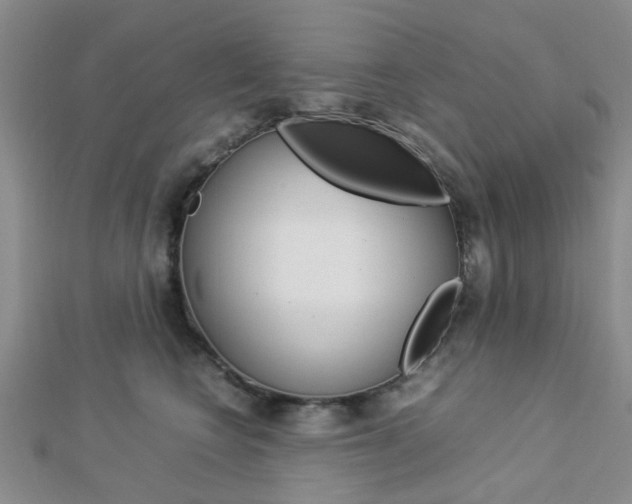 X0000112870566200908211032