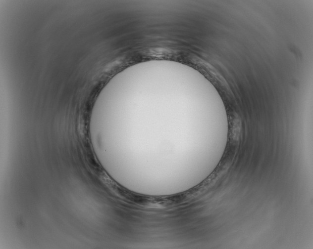 X0000112870569200908211032