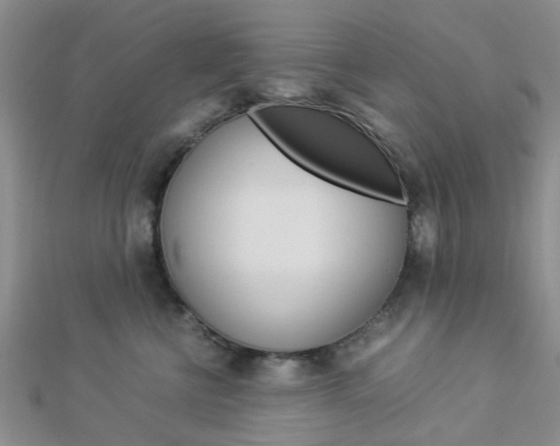 X0000112870570200908211032