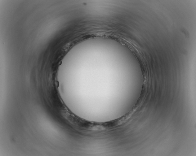 X0000112870572200908211032