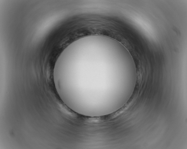 X0000112870574200908211032