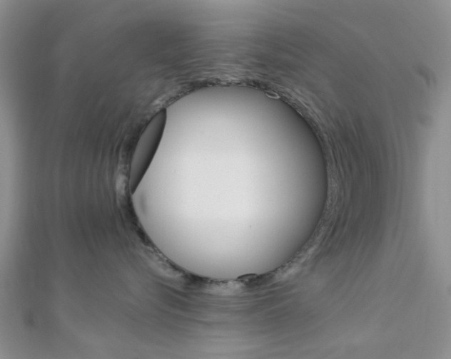 X0000112870576200908211032