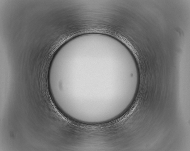 X0000112870577200908211032