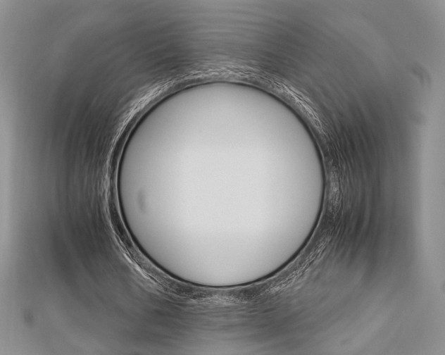 X0000112870578200908211032