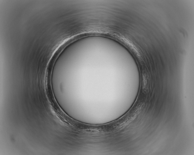 X0000112870580200908211032