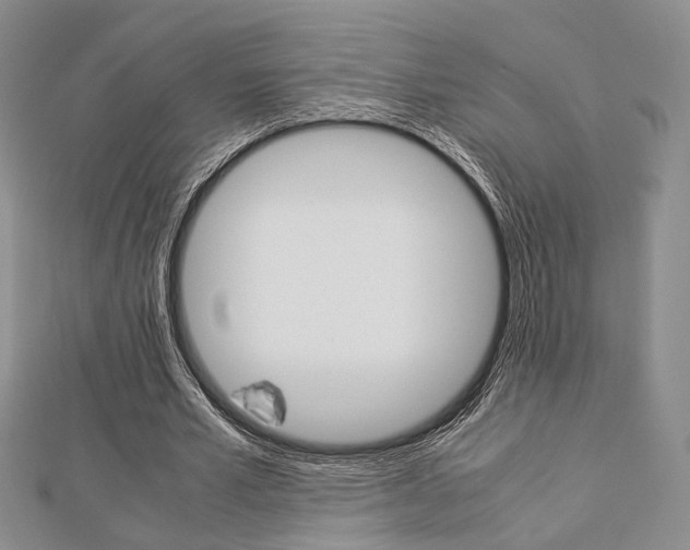 X0000112870581200908211032