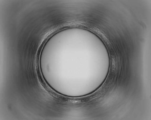 X0000112870582200908211032