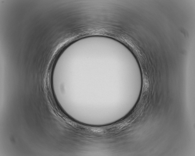 X0000112870583200908211032